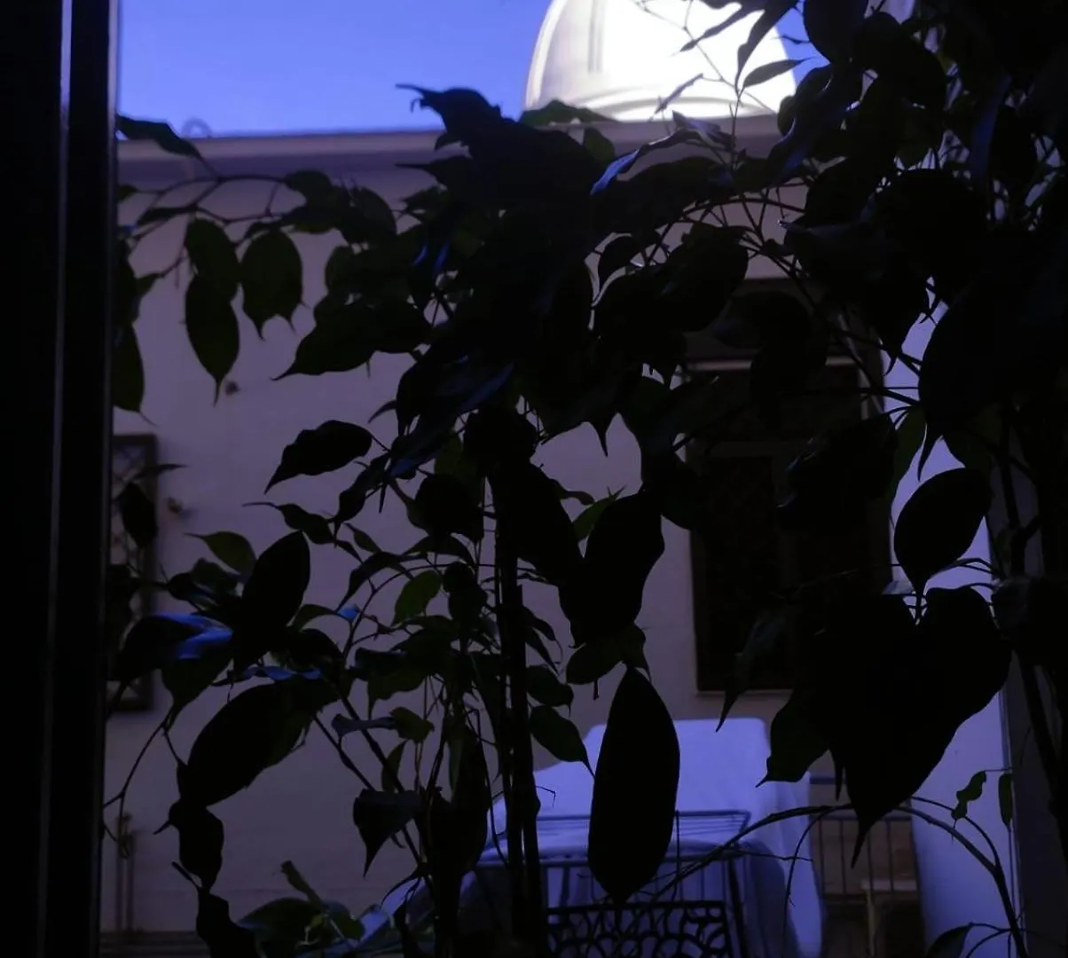 La Stella Apartment Naples